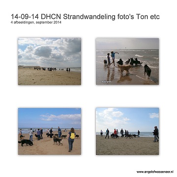 DHCN Strand wandeling met foto's van Ton en anderen